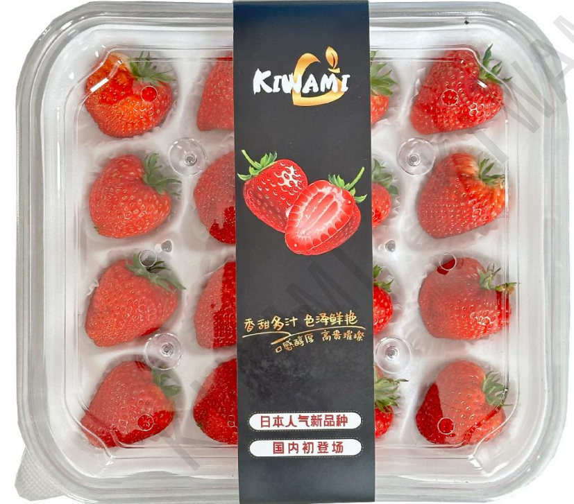 Retail 500g pack